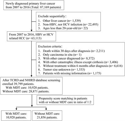 Effect of multidisciplinary team care on patient survival in chronic hepatitis B or C hepatocellular carcinoma